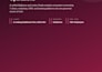 do lsa setup, SEO, manage and scale your google lsa account